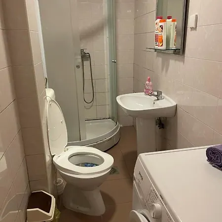 Проживание в семье Journey Белград