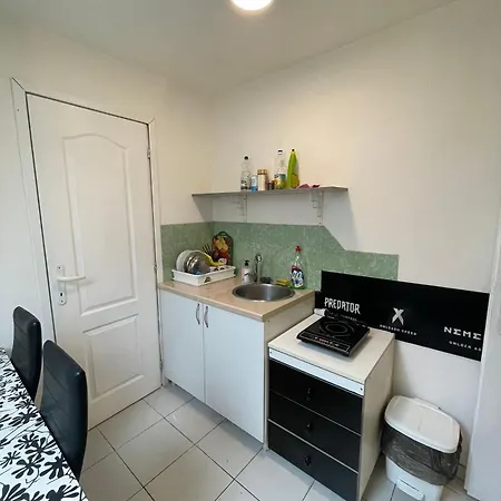 Journey Проживание в семье *