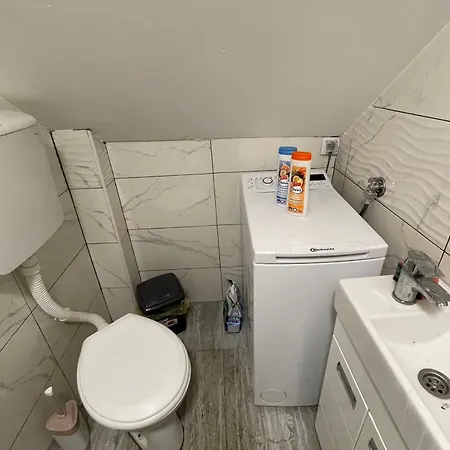 Journey Проживание в семье *