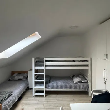 Journey Проживание в семье